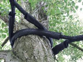 how to cable a tree 