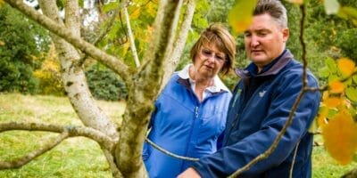 Arborist Jeff Moore inspects tree