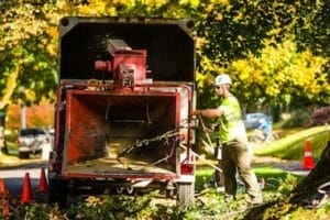 Arborist Certification Portland OR