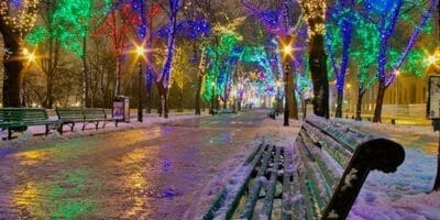 Christmas lights on urban trees