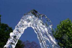 hose water in front of trees