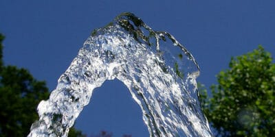 hose water in front of trees