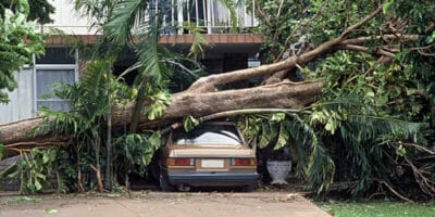 tree laying on house and car after storm