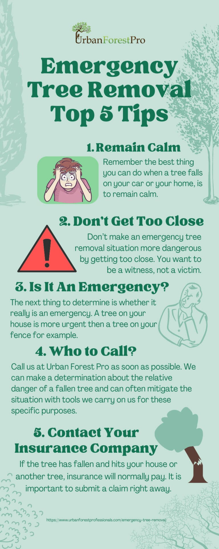 24/7 Emergency Tree Service