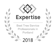 Expertise Best Tree Service Professionals in Portland 2018