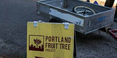 Portland Fruit Tree Project Intern position
