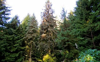 Portland, OR by jeffgunn, on Flickr.com