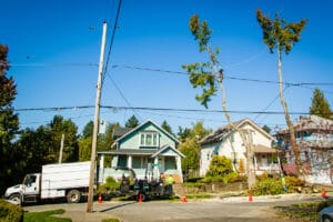 tigard tree services aborist near me