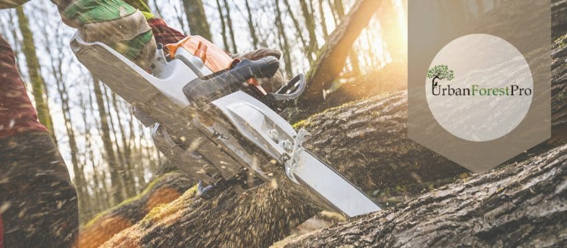 Urban Forest Pro Tree Care Pruning Removal
