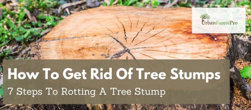 Urban Forest Pro How To Get Rid Of Tree Stumps Banner