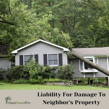 Urban Forest Pro Liability for Damage to Neighbor's Property