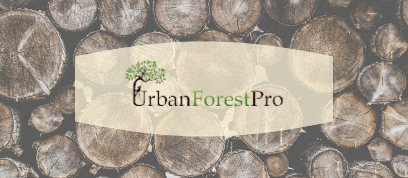 Urban Forest Pro Stump Removal Grinding