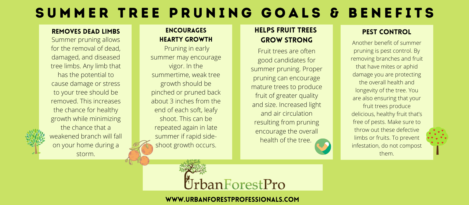 Urban Forest Pro Summer Tree Pruning Benefits can you prune trees in summer pruning and trimming trees in the summer