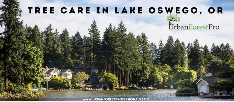 Urban Forest Pro Tree Care in Lake Oswego, OR