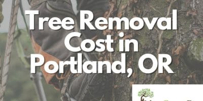 Urban Forest Pro Tree Removal Cost in Portland OR