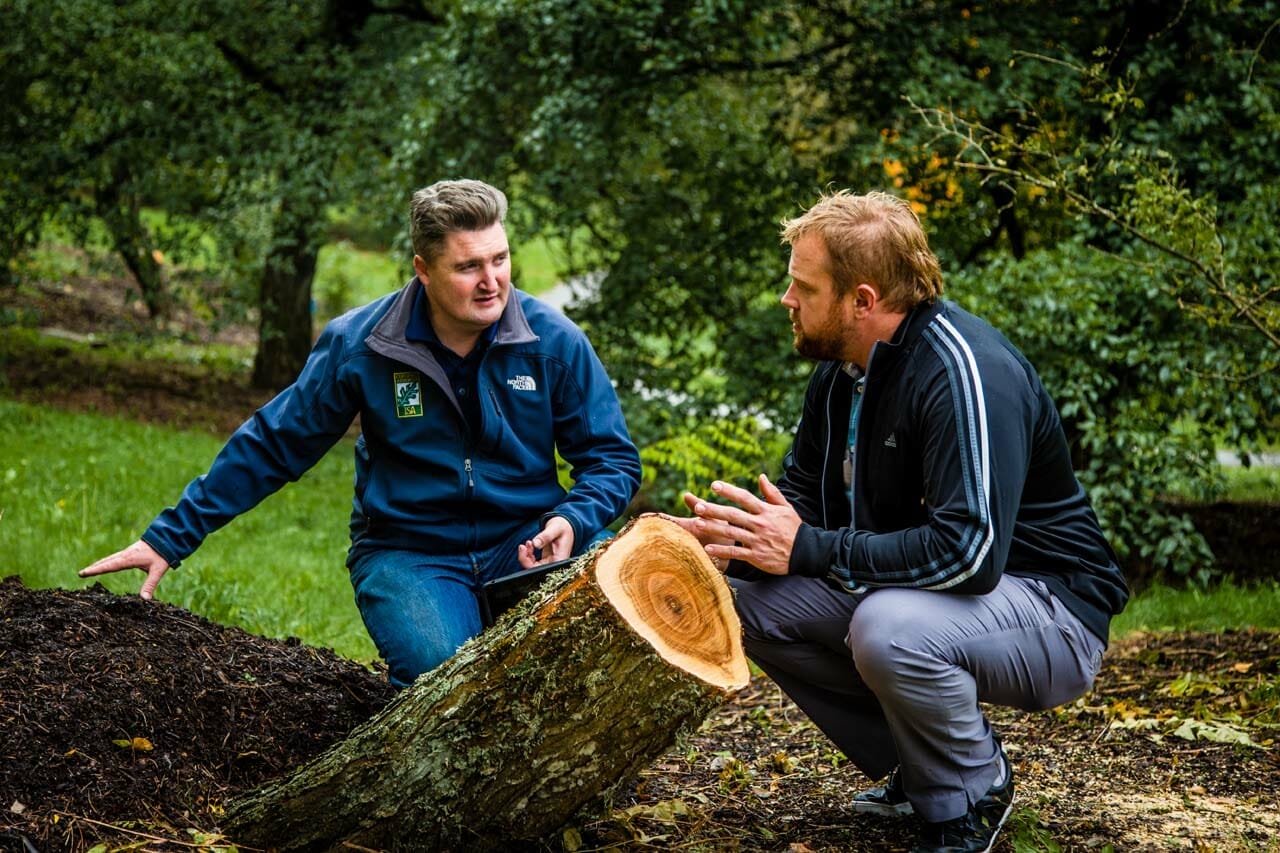 Tree Removal Consultation
