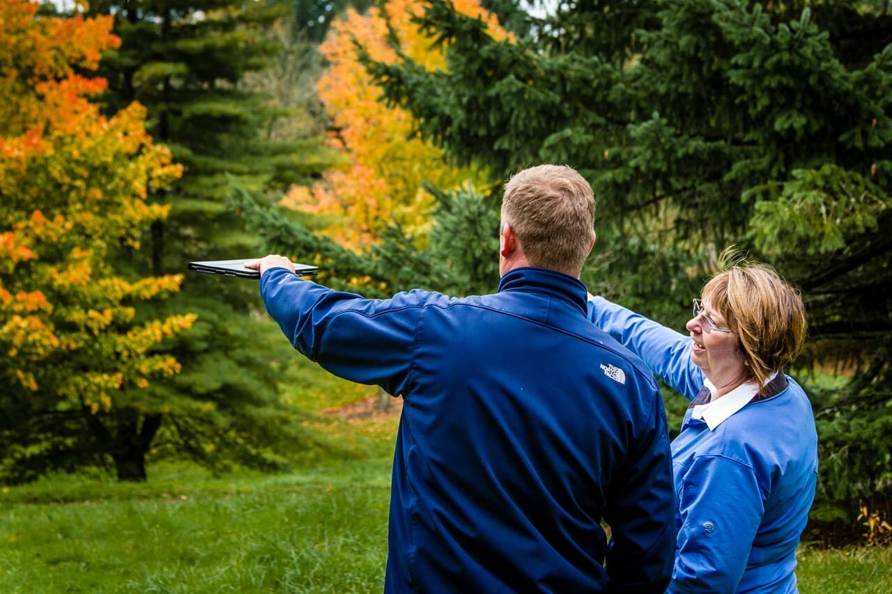 Portland Arborist Consultation