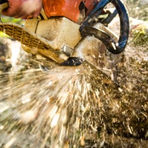 Chainsaw Tree Removal in portland, beaverton, tigard, milwaukie, vancouver