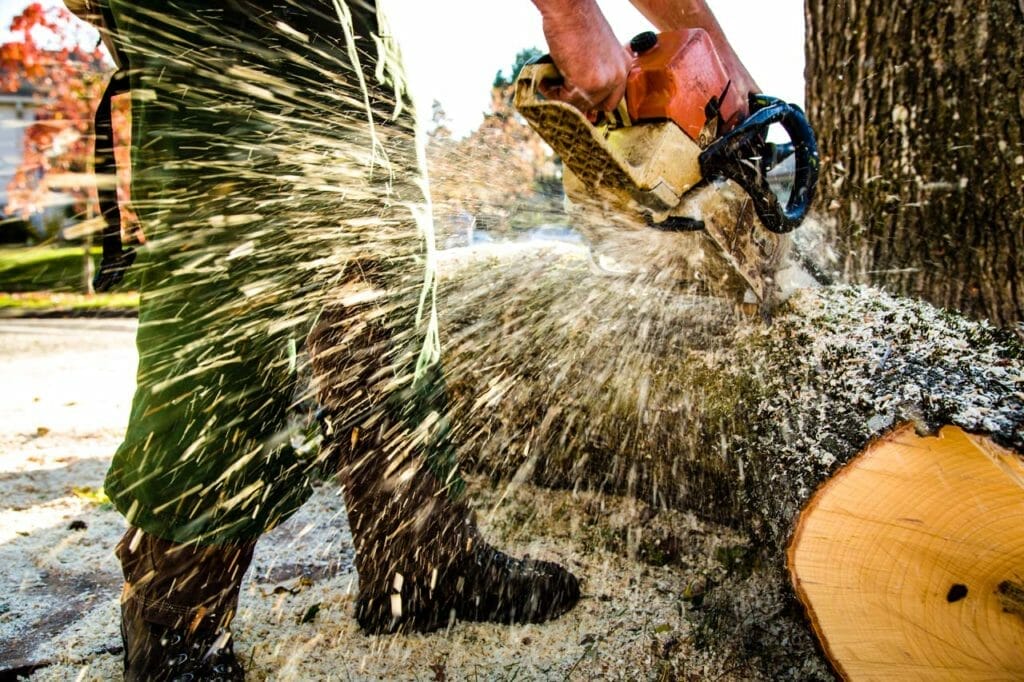 Portland tree removal services