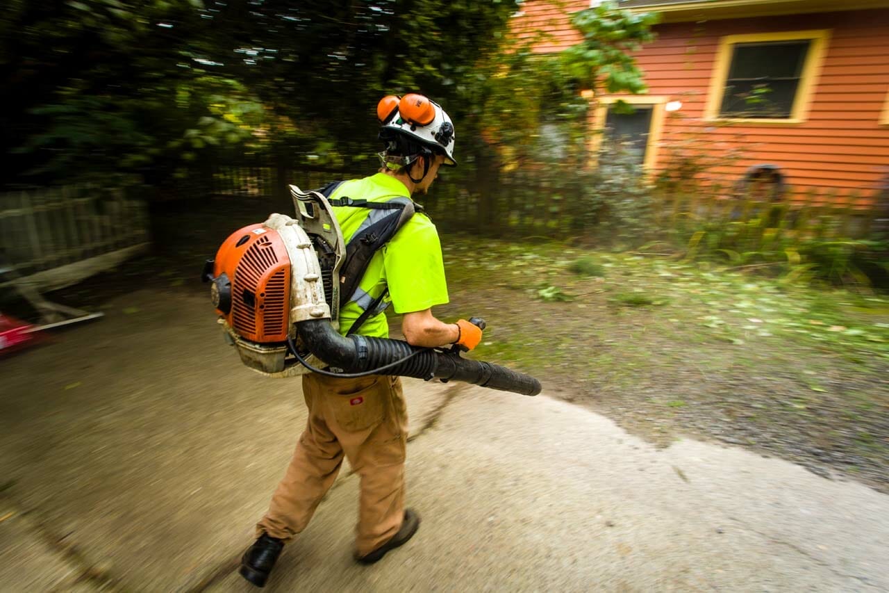 Urban Forest Pro Arborist on site