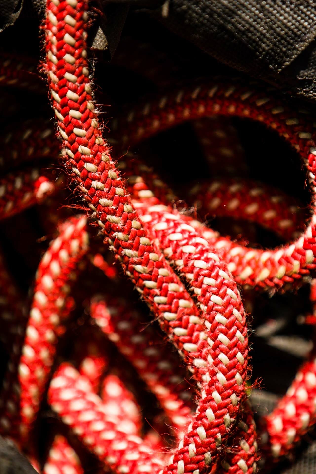 Tree Cables for Tree Trimming