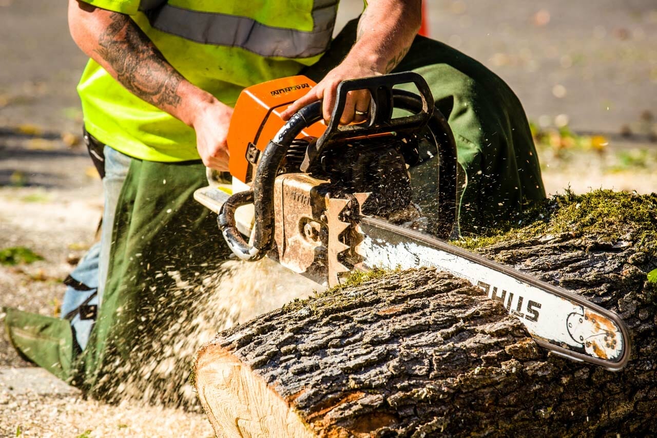 Professional Stump Grinding