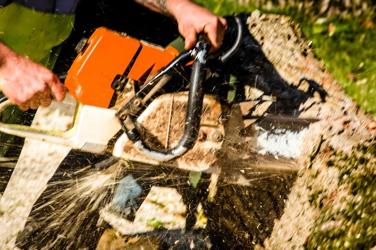 Stump Grinding by Certified Arborists