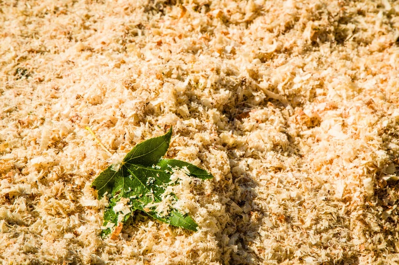 Tree Removal Sawdust portland, tigard, milwaukie, vancouver, beaverton