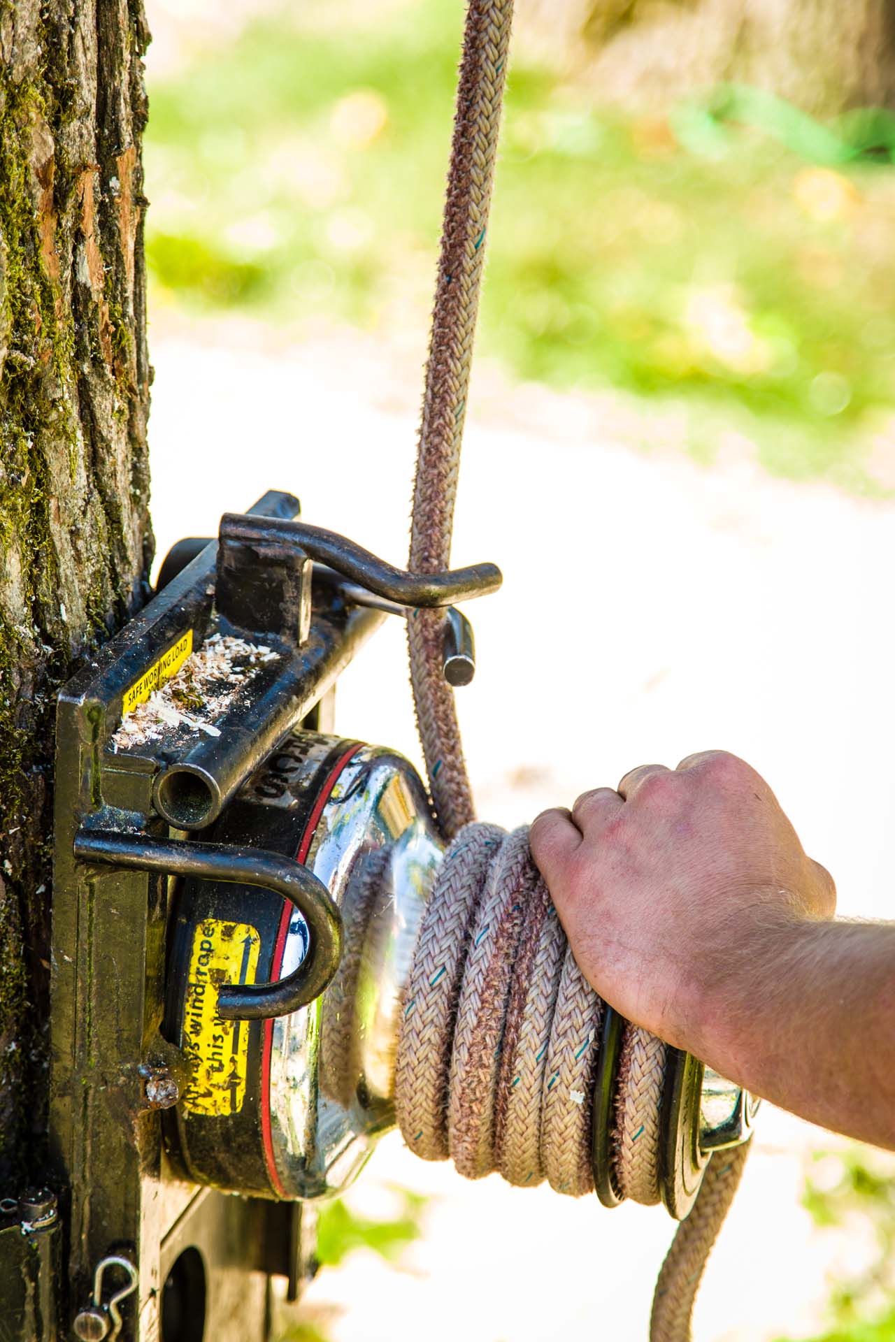 Proper Tree Cabling Equipment