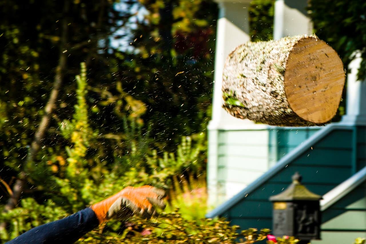 Stump Grinding on Site at Portland Home