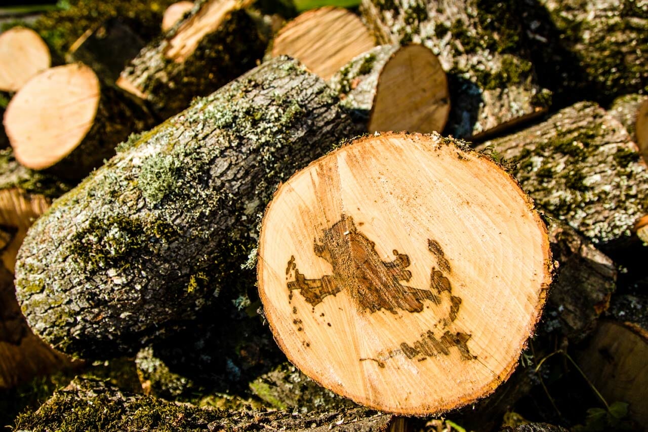 Tree Trimming Left Over Wood
