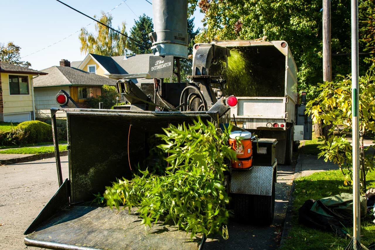 On Site Professional Clean Up