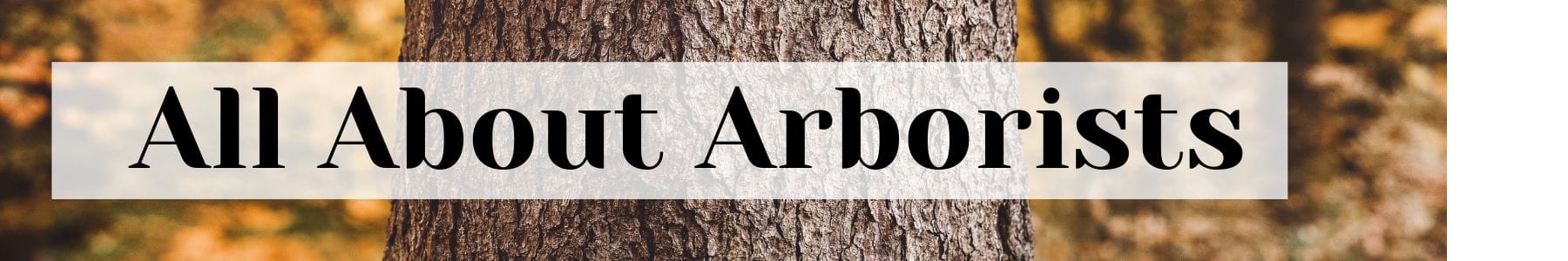 all about arborists urban forest pro