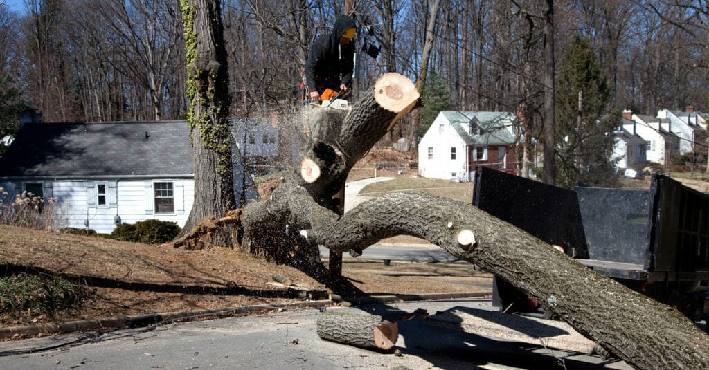 Emergency Tree removal in Portland, Tigard, Beaverton, Milwaukie, Vancouver