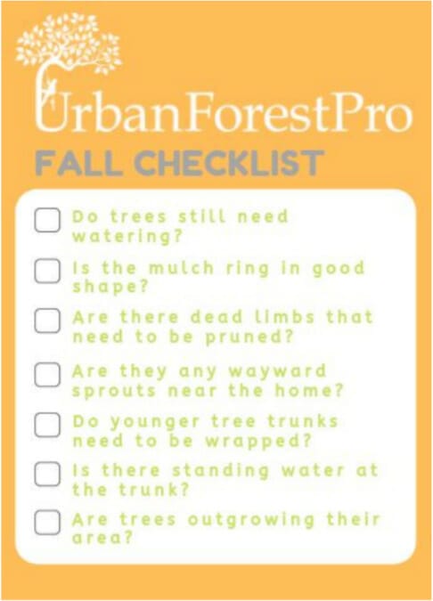 fall tree care checklist urban forest pro