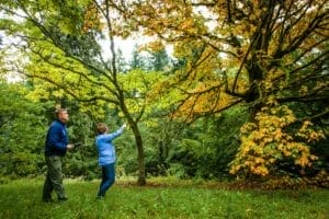 Arborist walking around with woman inspecting trees