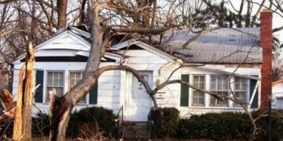 Damaged tree on house