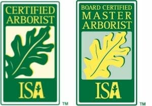 master-arborist portland tree expert