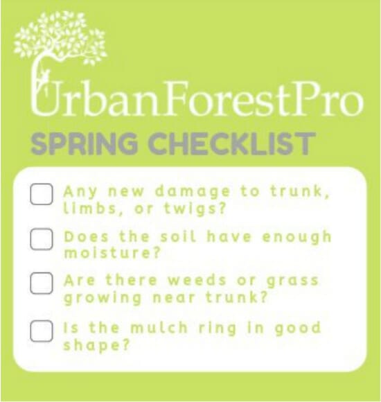 spring tree care checklist urban forest pro