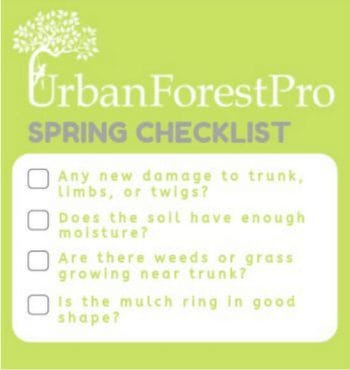 spring tree care checklist urban forest pro
