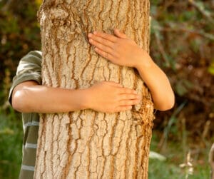 tree hugger urban forest pro portland arborist