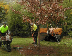 Arborists working on landscape design and installation in Portland OR 