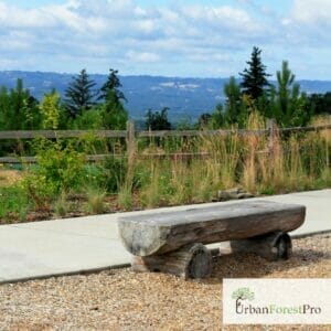 tualatin oregon tree service near you urban forest pro