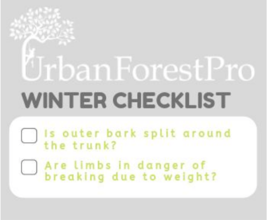 winter tree care checklist urban forest pro